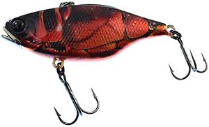 hard baits Jackall TN60 Black King Gill in a fishing tackle shop